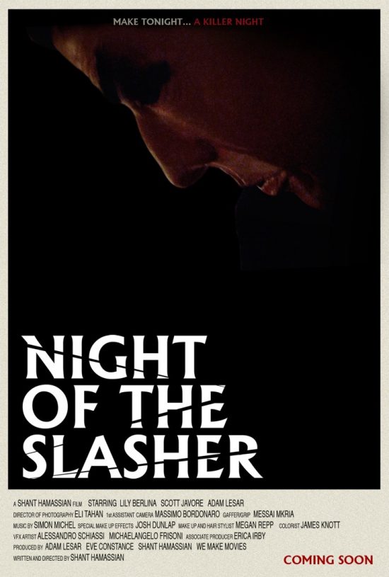 night-of-the-slasher-poster