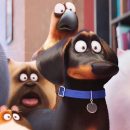 Review: The Secret Life of Pets – “Full to bursting with colourful characters”