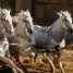 Review: Ben-Hur