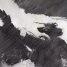 Cool Animated Short: Tank Head