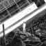 Cool Art: Fitzcarraldo by Nicolas Delort