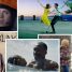 What will win Best Film at BAFTA 2017?