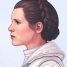 Cool Art: Leia and Wicket by Mike Mitchell