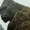 Review – Kong: Skull Island – “Full of non-stop eye-popping and chest-beating monster bashing”