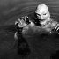 In Episode 47 of After The Ending we talk There’s Something About Mary and The Creature From The Black Lagoon