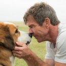 Review: A Dog’s Purpose – “A fun family watch”