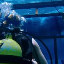 Review: 47 Meters Down – “Genuinely scary”