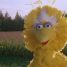 Cool Mashup: Sesame Street meets the Beastie Boys’ Sabotage
