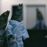 Documentaries, Short Cuts & Midnight Madness at TIFF 2017