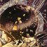 Book Review: Ghost In The Shell by Andrew Osmond