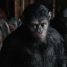 Maze Runner’s Wes Ball is working on a new Planet of the Apes movie