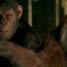 Why Planet of the Apes continues to fascinate us