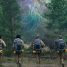 Review: Annihilation – “Intelligent and thought-provoking science fiction.”