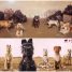 The RSPCA and Isle of Dogs teamed up to encourage people to rehome a dog