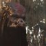 Review: The Predator – “Soulless and so uninspired”