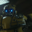 Review: Bumblebee – “An absolute delight”