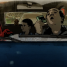 Review: Tehran Taboo – “A glimpse into a society most of us don’t see in cinema”
