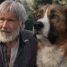 Review: The Call Of The Wild – “A rustic, intimate, and delightfully old-school yarn”