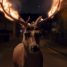 Estate – A new short based on the China Miéville story is heading our way