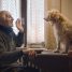 TIFF 2020 Review: The Truffle Hunters