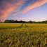 Best Documentary Films for Farmers