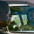 Watch Denzel Washington, Rami Malek, and Jared Leto in The Little Things trailer