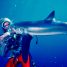 Sundance 2021 Review: Playing With Sharks -“An insight into a remarkable woman”