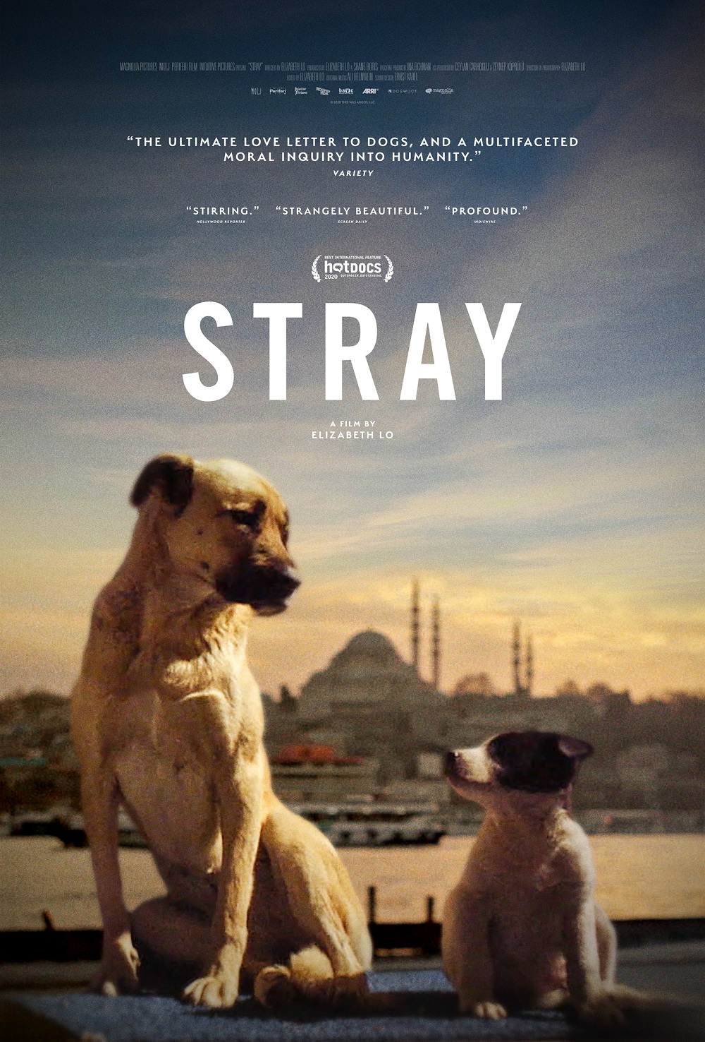 Stray Follow the lives of three dogs in the trailer for new