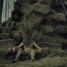 The Pond – Watch the creepy trailer for new supernatural folk horror