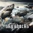 Invisible Flying Sharks, Zombies and more feature in the new Sky Sharks trailer