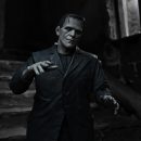 NECA is bringing us some new Universal Monsters action figures