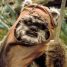 How To Get On With The Locals in Endor