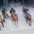 Greatest Horse Racing Films of All-Time and Why We Love the Tales from the Track
