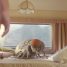 Quentin Dupieux’s Mandibles gets a UK release date