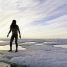 Platform Prize, Celebrating Alanis Obomsawin & Short Cuts at TIFF 2021