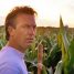 Michael Schur is writing a Field of Dreams TV show