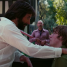 Licorice Pizza – Paul Thomas Anderson’s new film gets a trailer