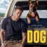 US Blu-ray and DVD Releases: Dog, Cursed, Clean, Mr. Klein, Kin and more