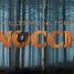 Guillermo del Toro’s Pinocchio gets a teaser trailer