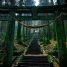 4 Amazing Movies You Have Never Heard About