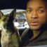 Will Smith will star in an I Am Legend sequel with Michael B. Jordan