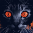Stephen King’s Cat’s Eye has had a 4K restoration