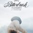 Bitterbrush – Watch the trailer for the new documentary about cattle riders