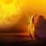 How to Write & Edit a Science Fiction Book Movie Producers Will Adore