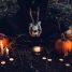 Planning a Halloween-themed Movie Night? Check Out These Movies