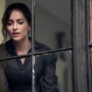 Persuasion – Watch Dakota Johnson in the trailer for the new Jane Austen adaptation