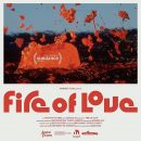 Fire of Love – Watch the trailer for new volcano documentary