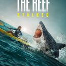 The Reef: Stalked – Watch the trailer for the new shark attack movie