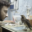 Shaunak Sen’s All That Breathes documentary gets a release date