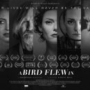 A Bird Flew In – Watch the trailer for the new British drama